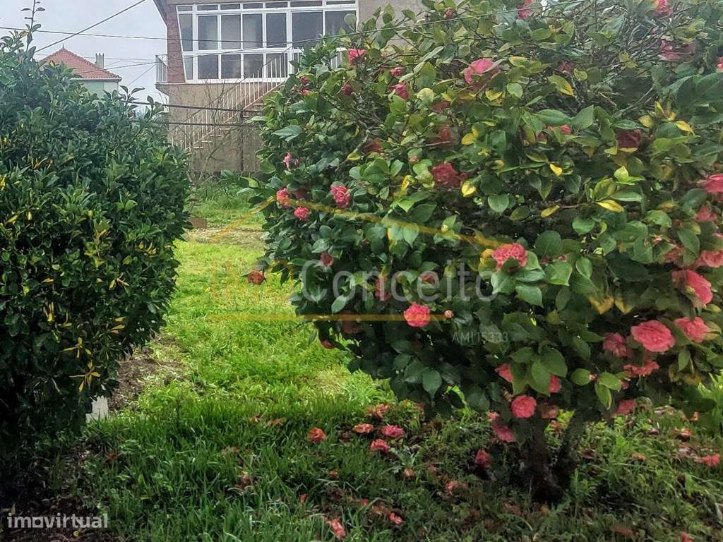 Moradia Térrea T4|| Ourém|| Caxarias|| Campo-43