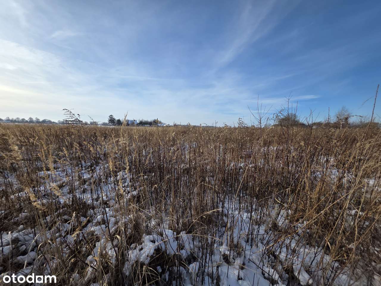 Gm. Niemce_10 minut do Lublina_MPK_ścieżka rowerowa_lasy kozłowieckie-1