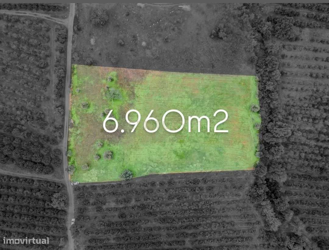Terreno rústico | 6.960m2 | Castelos -Algoz - Grande imagem: 3/11