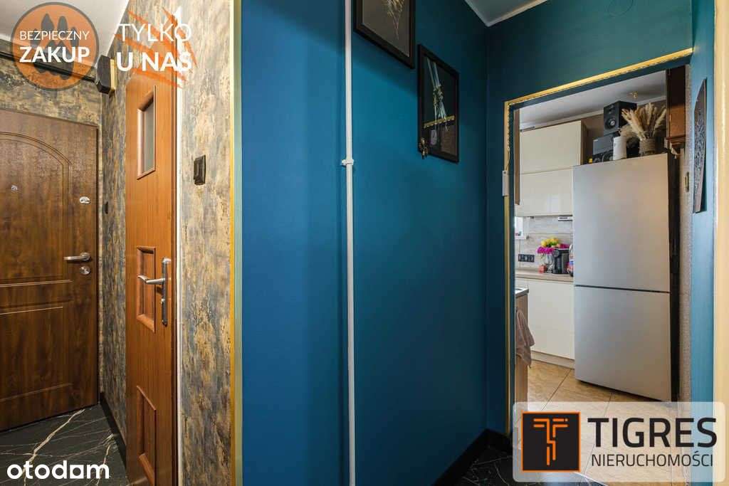 Unikalne / gotowe do wprowadzenia / zadbane-8