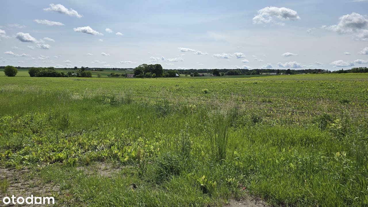 Atrakcyjna działka w spokojnej okolicy - Pełny obrazek: 2/4