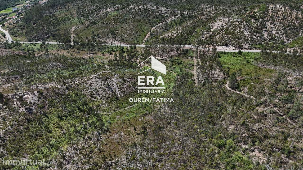 Terreno Florestal em Matas, Ourém-14