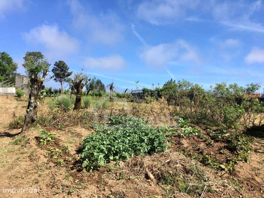 Casa de Campo T3 em Arega, Figueiró dos Vinhos-9