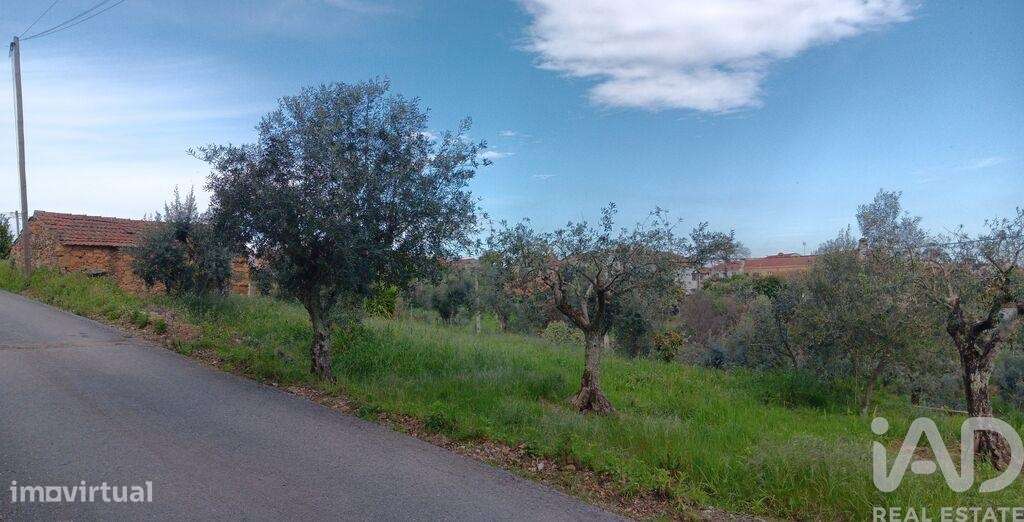Terreno em Graça de 3250,00 m2 - Grande imagem: 5/27