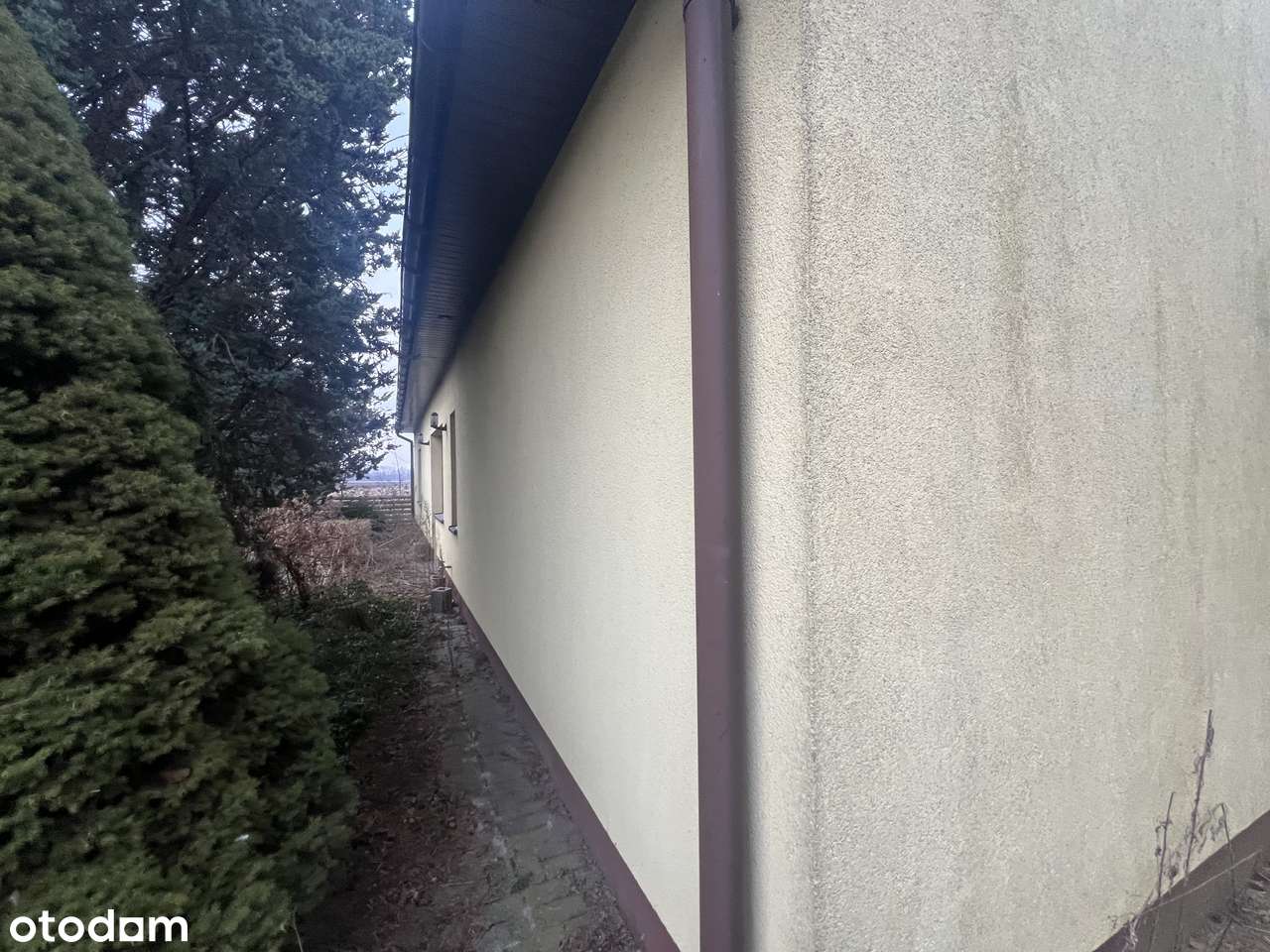 Gospodarstwo +Dom mieszkalny +grunty rolne na sprzedaż - Pełny obrazek: 4/20