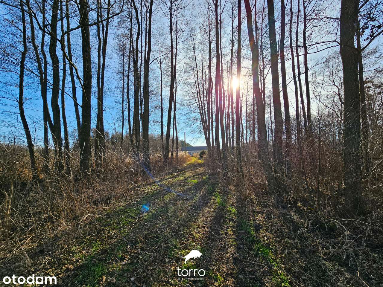 Dwie Działki 3000m² w Kęblinach z WZ - 30min od Centrum Łodzi-7