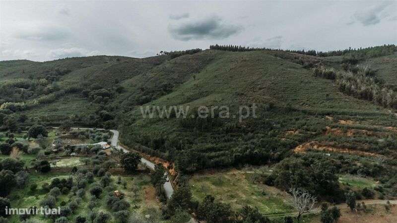Terreno / Fundão, Telhado - Grande imagem: 2/7