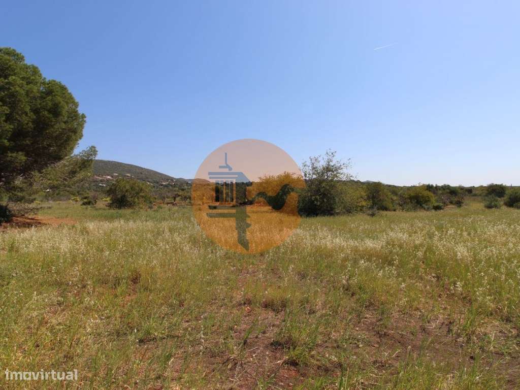 Magnifica Moradia com terreno de grande dimensão !!!-40