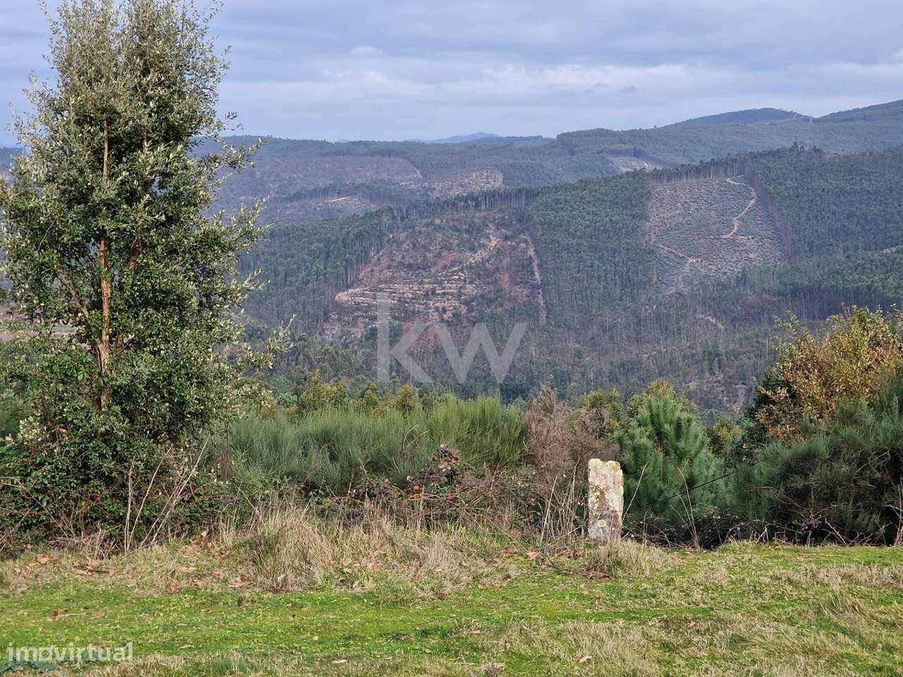 Terreno Rústico de 1.860 m2 em Belece, São Miguel do Mato, Arouca - Grande imagem: 4/12
