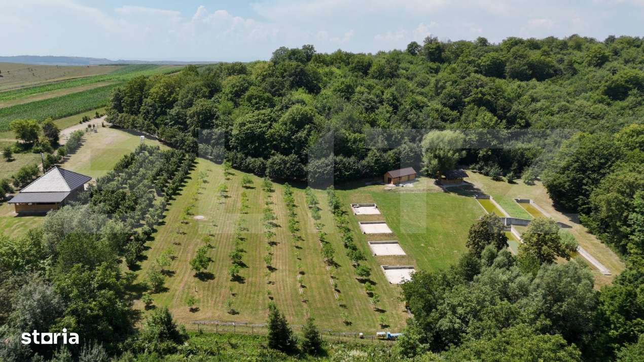 Glamping, piscicultura si turism spiritual - totul intr-un singur loc - Imagine principală: 3/19