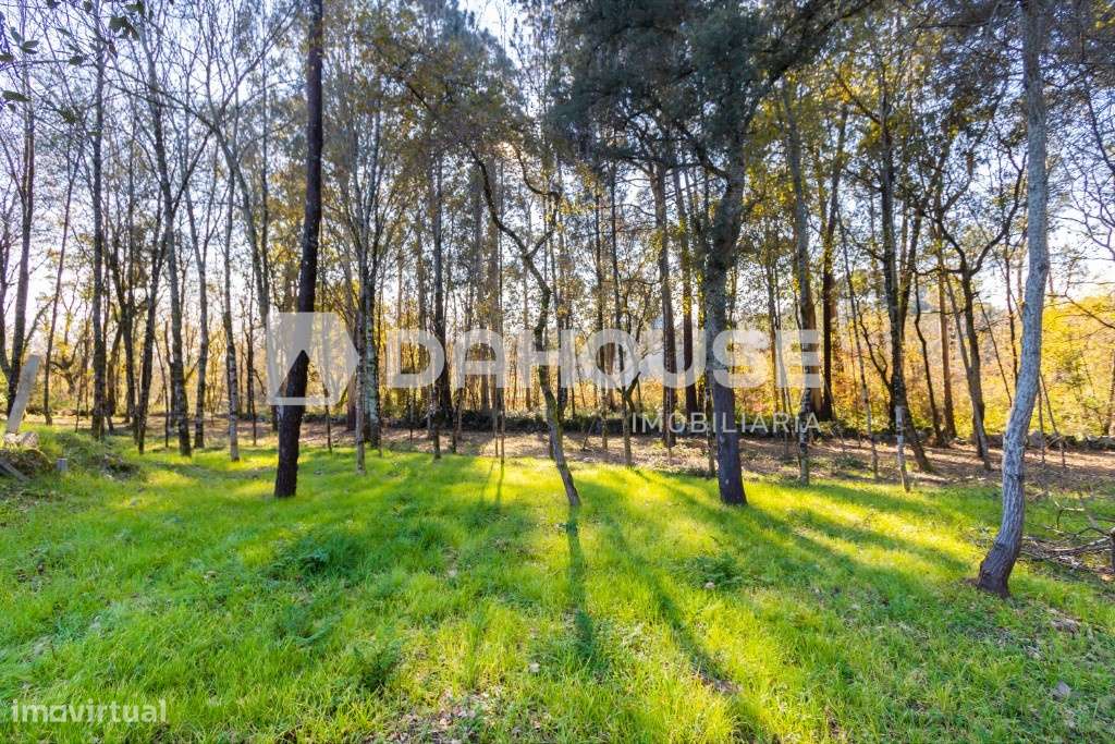 Venda Terreno - Grande imagem: 1/8