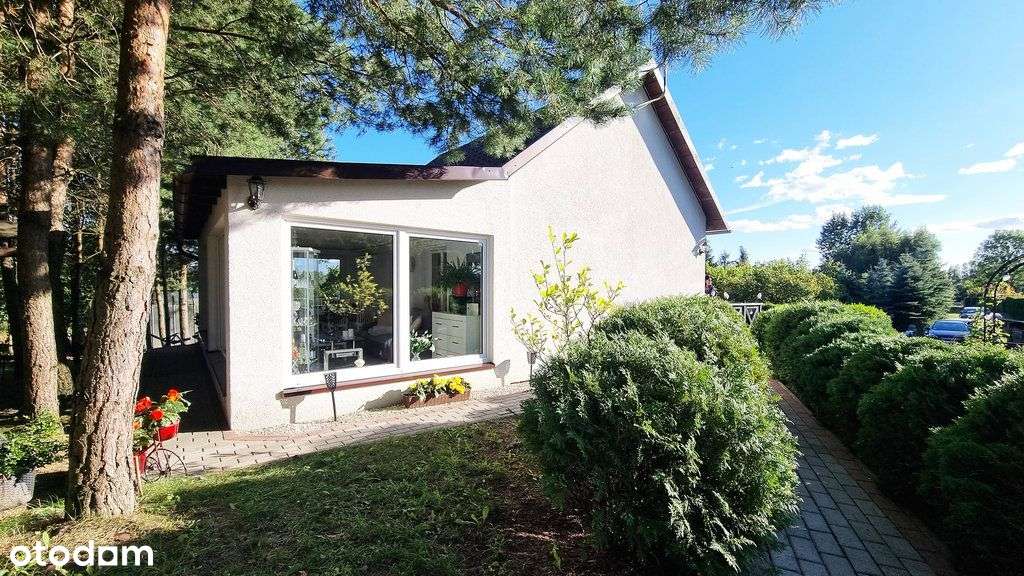 Dom całoroczny z dużą działką - 3 838 m2-13