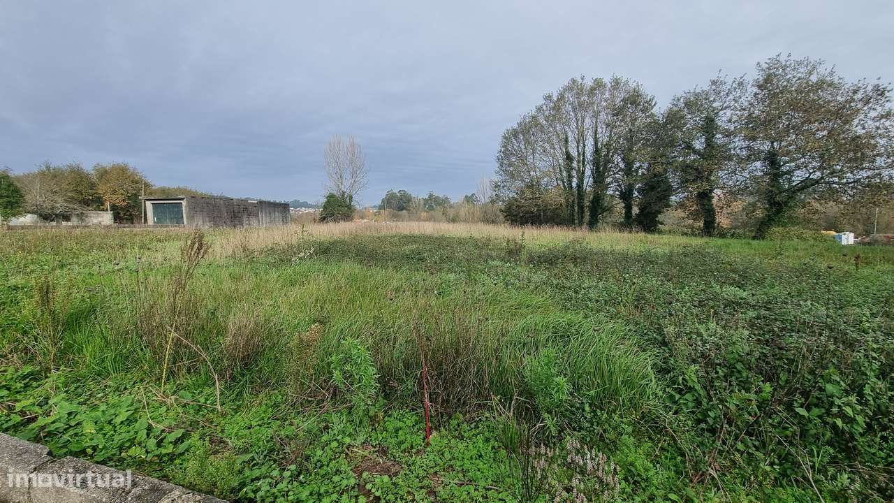 Terreno Rústico em Argoncilhe, Santa Maria da Feira - Grande imagem: 4/13