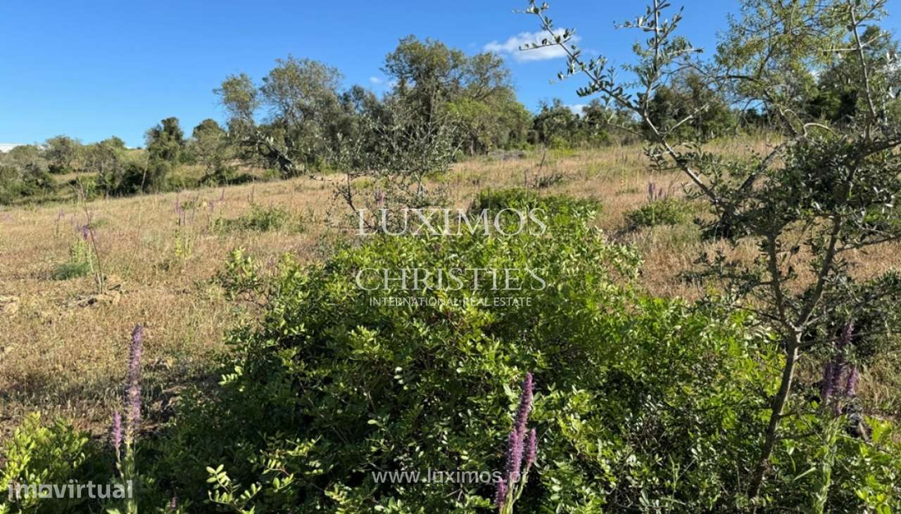 Amplo terreno para venda em Algoz, Algarve - Grande imagem: 3/5