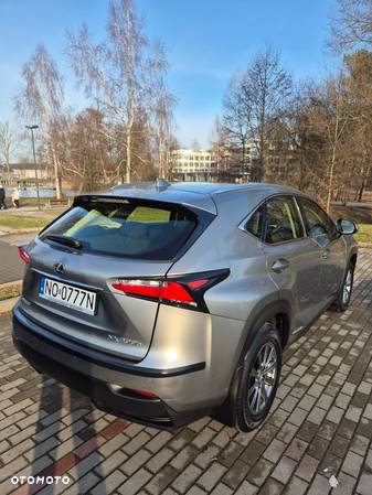 Lexus NX - 6