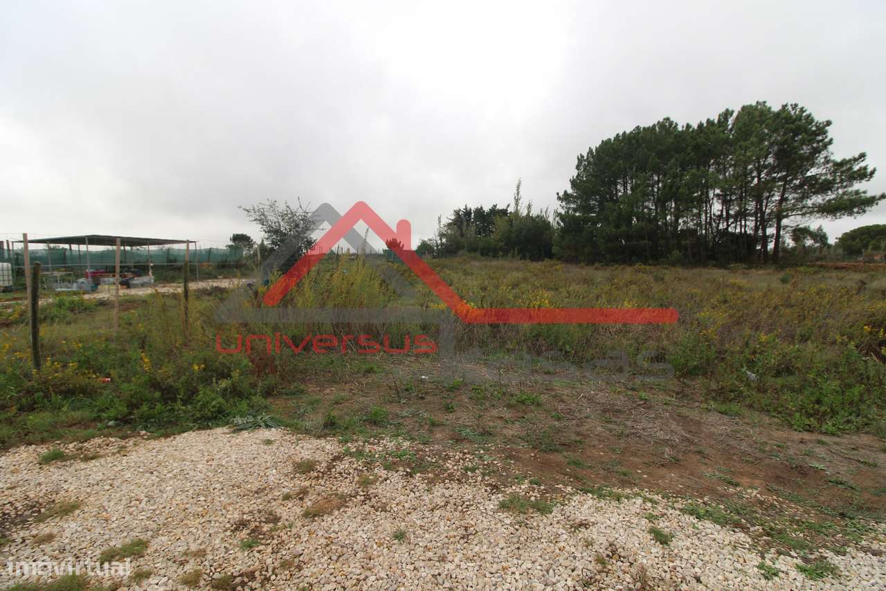 Moradia Isolada V3 com Piscina e Garagem - Terrugem, Sintra-46