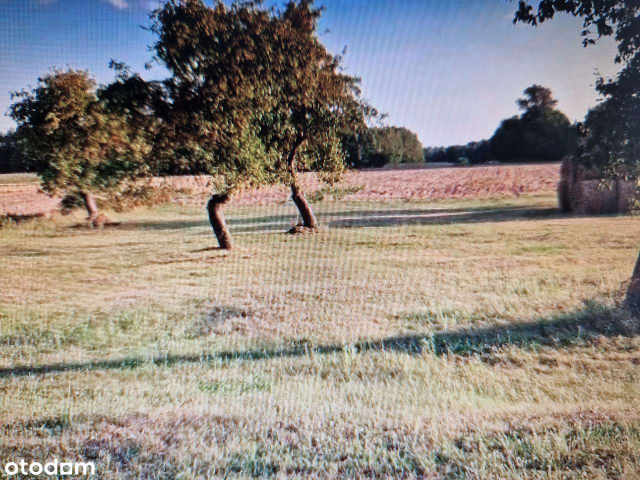 Na sprzedaż działka rolno-budowlana 1,35 ha, na wsi, niezabudowana - Pełny obrazek: 4/8