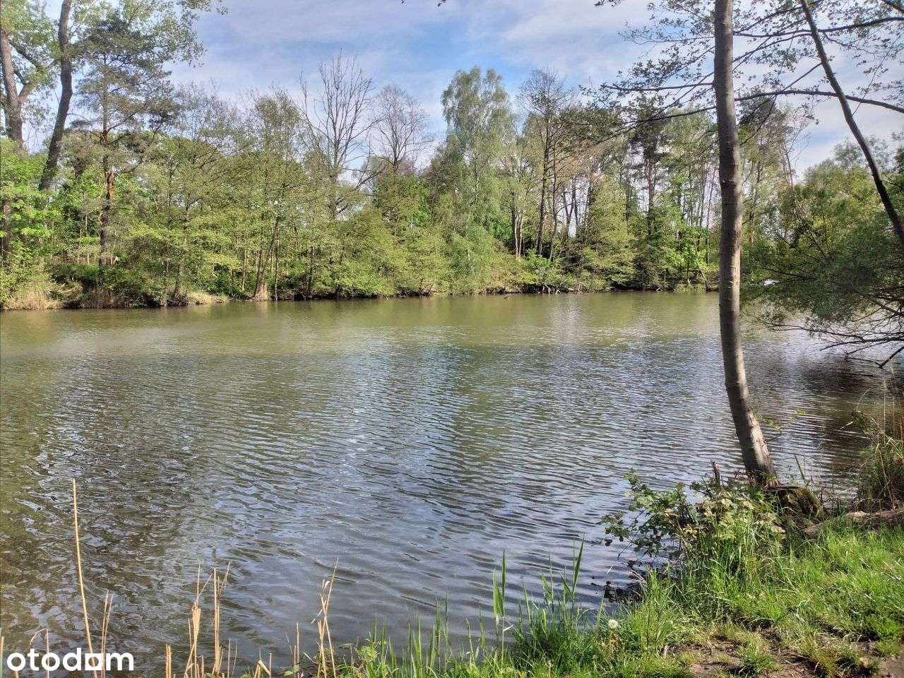 PROMOCJA - Działki budowlane nad jeziorem-14