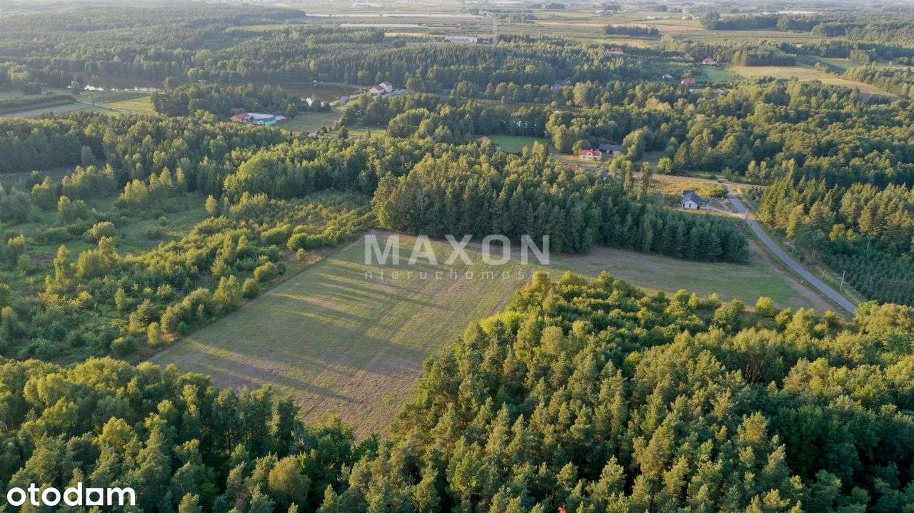 Działka budowlana k. Grójca - 3887 mkw - Pełny obrazek: 4/20