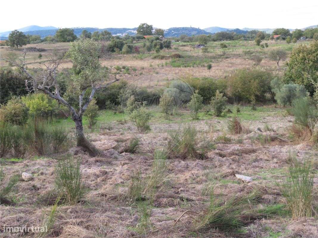 Quinta T0 para venda - Grande imagem: 2/26