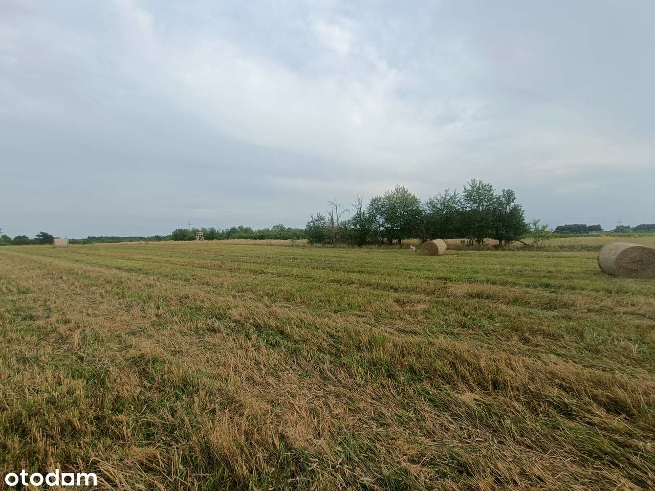 | Spokój, natura i wygoda | Widok na zieleń bez opłat za drogę | - Pełny obrazek: 4/12