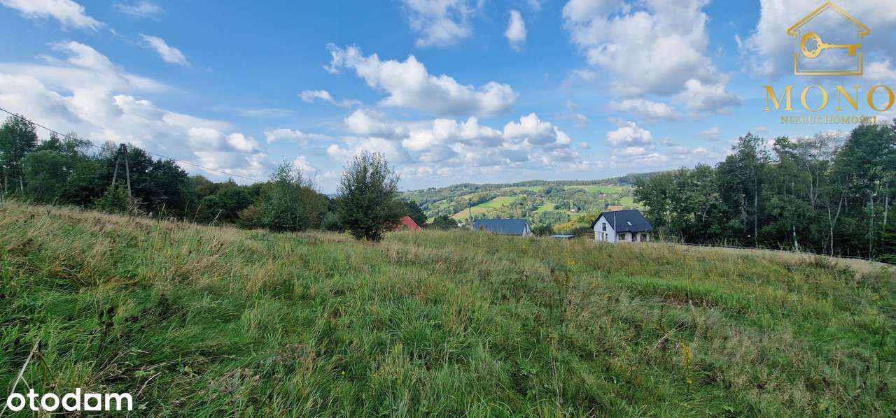 Atrakcyjna oferta działka ok. 50 ar pod lasem!!-11