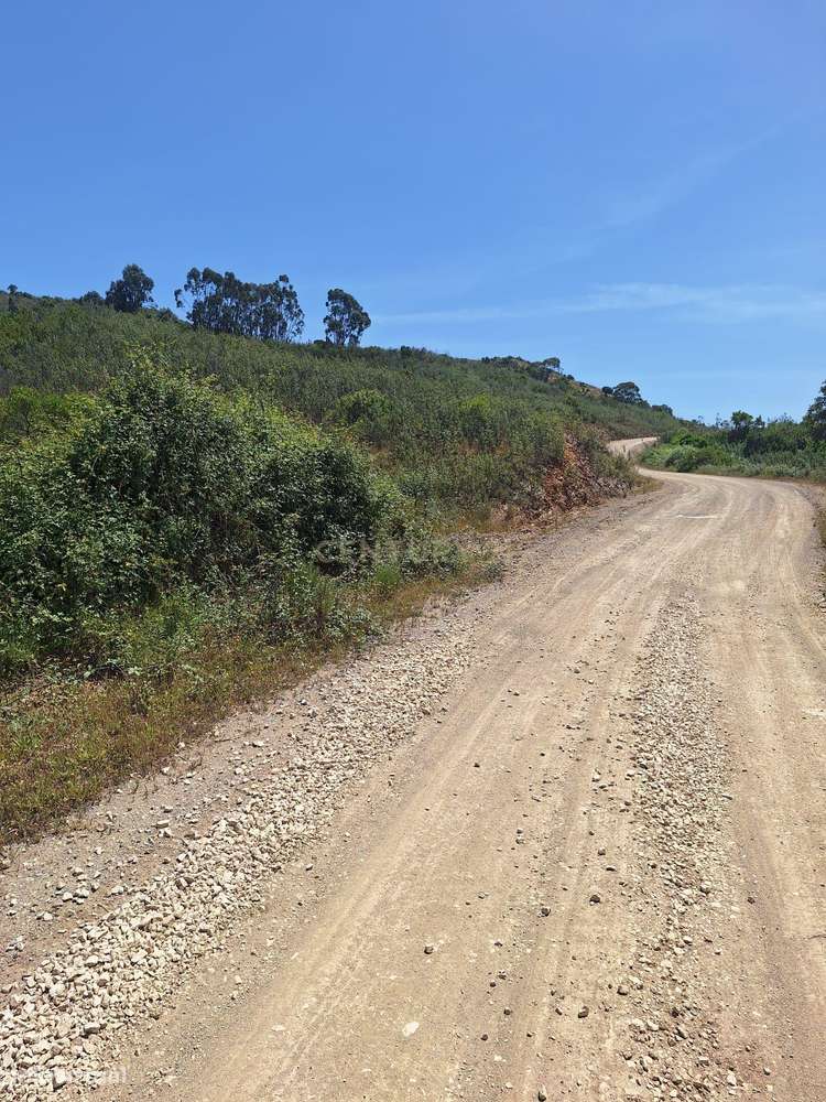 Terreno com 89.030 m² à venda em São Bartolomeu de Messines-11