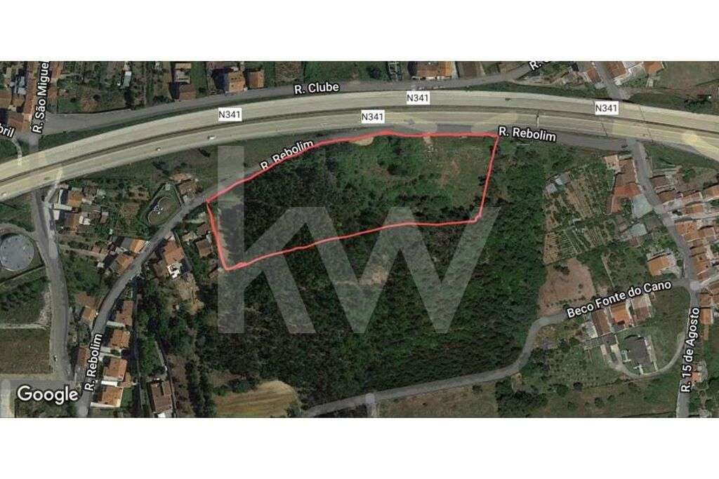 Grande terreno para construção com mais de 18000m2  | Ribeira de Frade - Grande imagem: 4/21