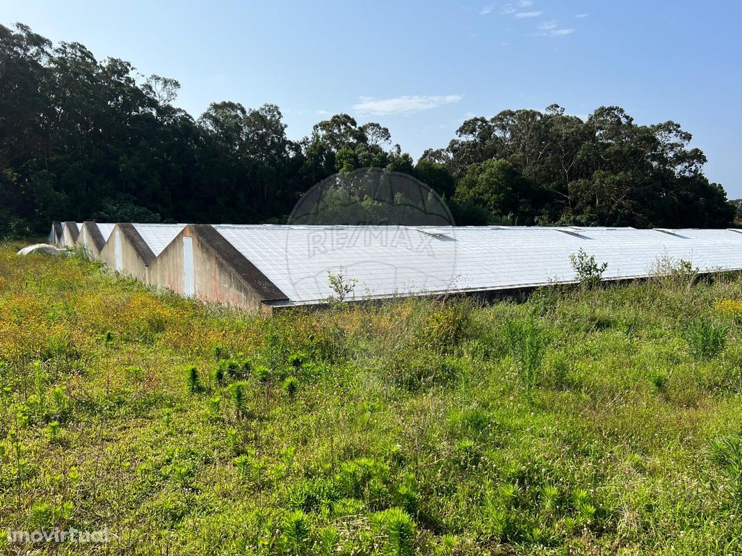 Terreno  para venda