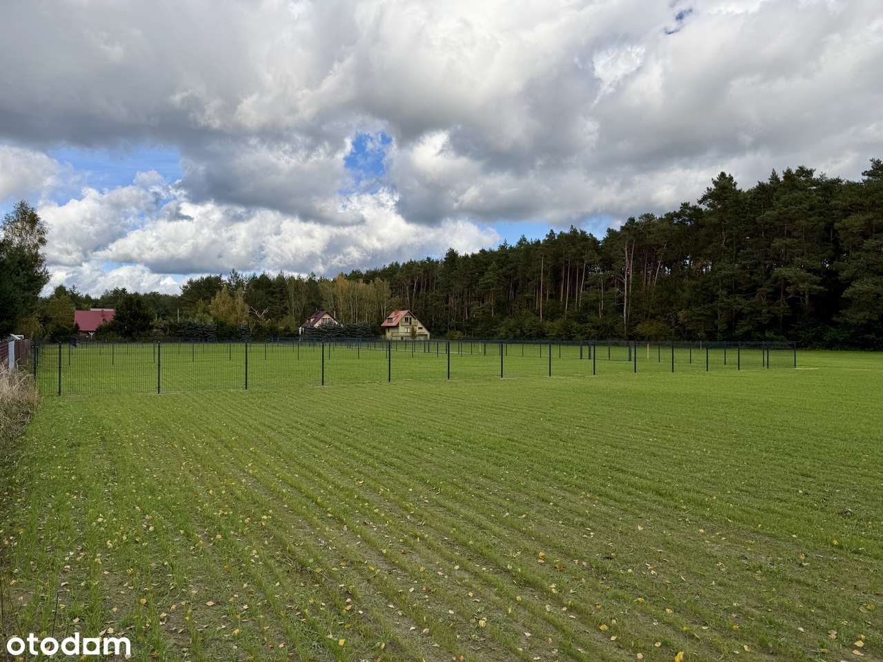 Działki przy jeziorze Lucieńskim i lesie państwowym-4