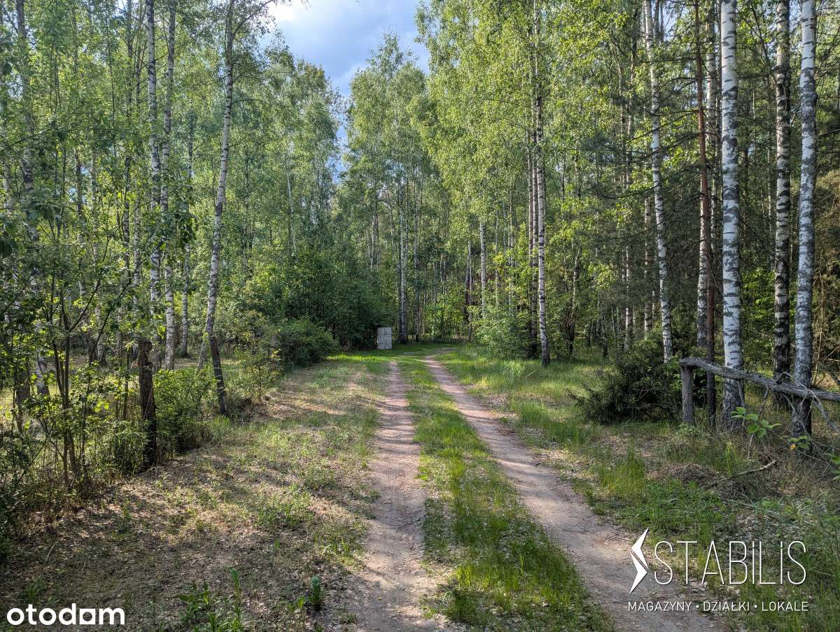 Malownicze osiedle na skraju lasu / Działki z Mpzp-4