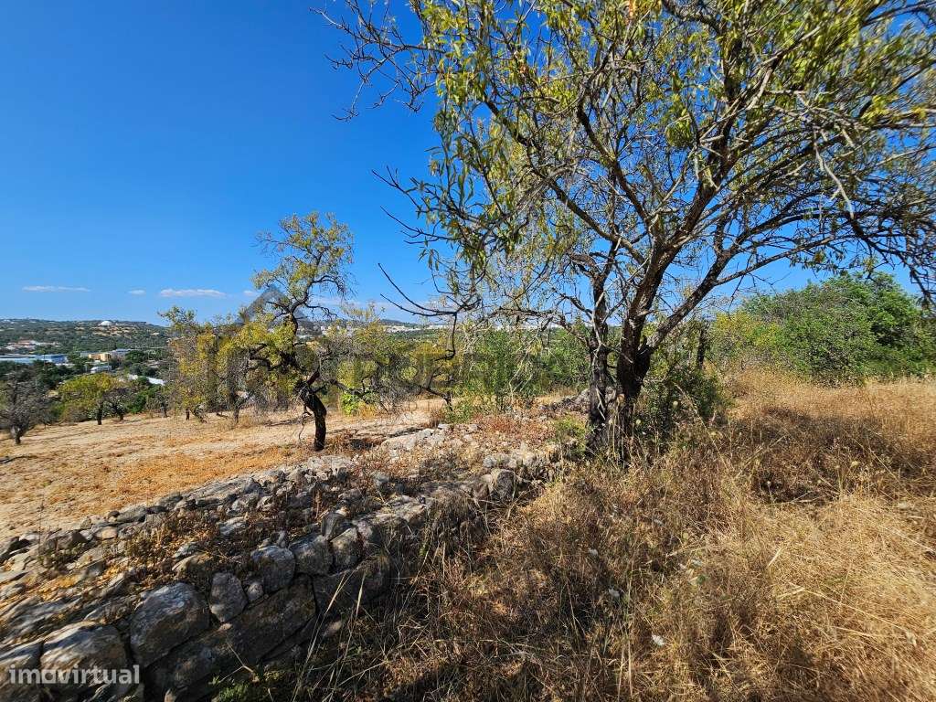 Casa com herdade de 30 mil m2 a sul de Loulé com enorme potencial-15
