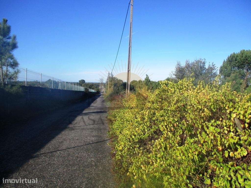 Bombel - Vendas Novas-6