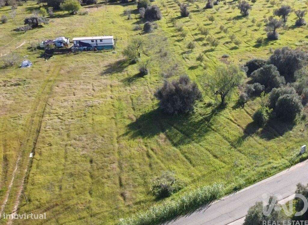 Terreno Agrícola em Algoz e Tunes de 6400,00 m2 - Grande imagem: 5/5
