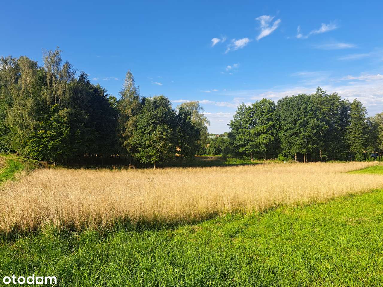 Na sprzedaż działka pod zabudowę letniskową.-3