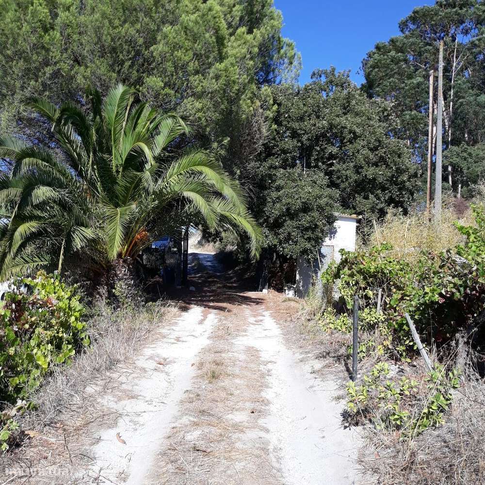 Venda Terreno - Grande imagem: 4/32