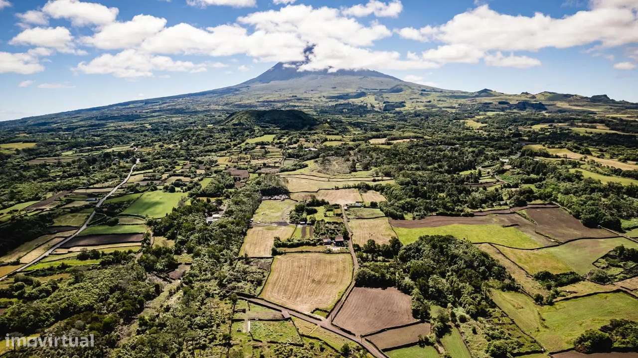 Terreno à Venda na Madalena, Ilha do Pico - 43.000m²-6