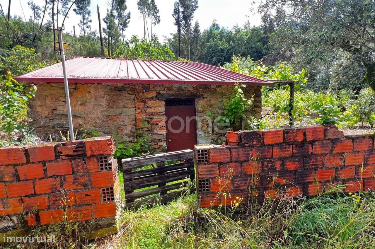 Terrenos Urbanizáveis com 680 e 1.630 m2 - Pampilhosa da Serra-9