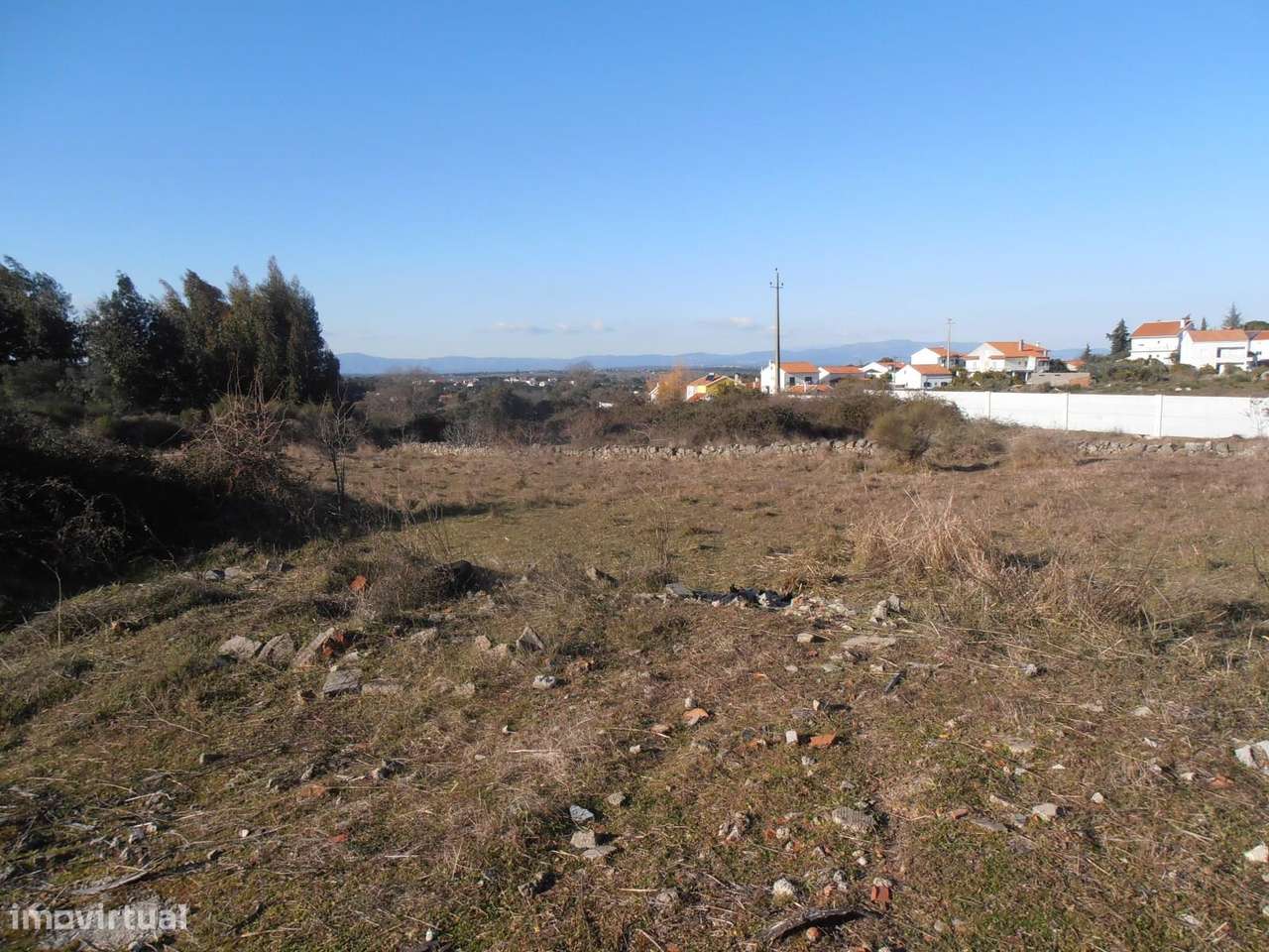 Quinta-11