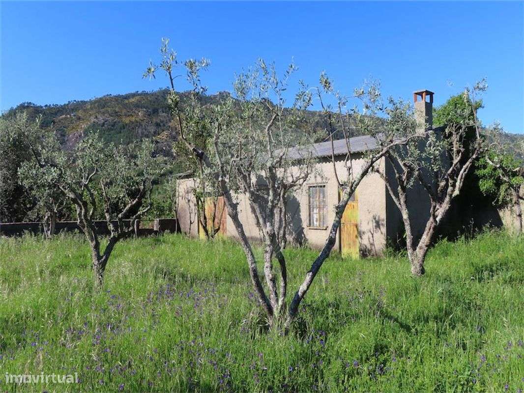 Quinta  para venda - Grande imagem: 4/42