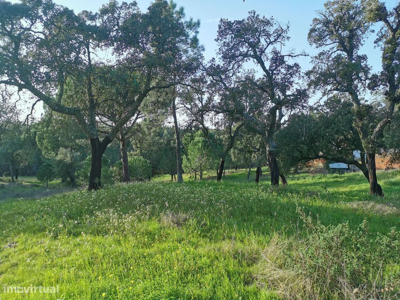 Moradia T2  Lamarosa de Coruche-26