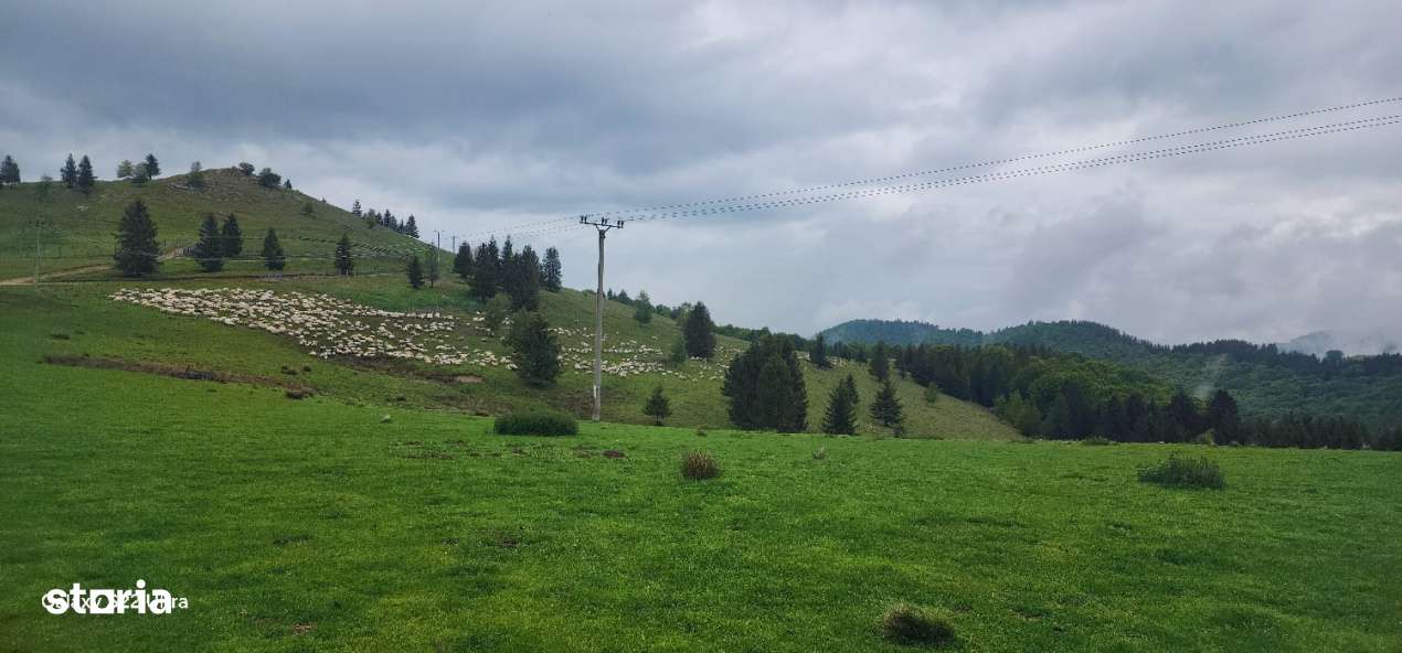 Parcele de vis in munti – Zona Arka Park, cu drum de acces si PUZ ap - Imagine principală: 4/19