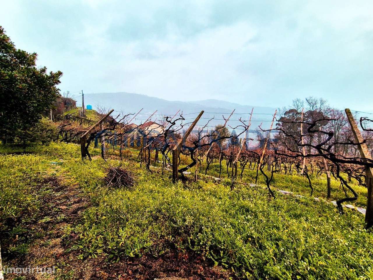 Quinta com 5250 m² & Moradia T1 em Pedra – Baião-47