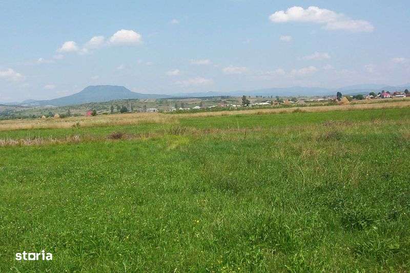 Teren Intravilan 80 ari, loc case , Tg Lapus  str Maramuresului - Imagine principală: 4/8