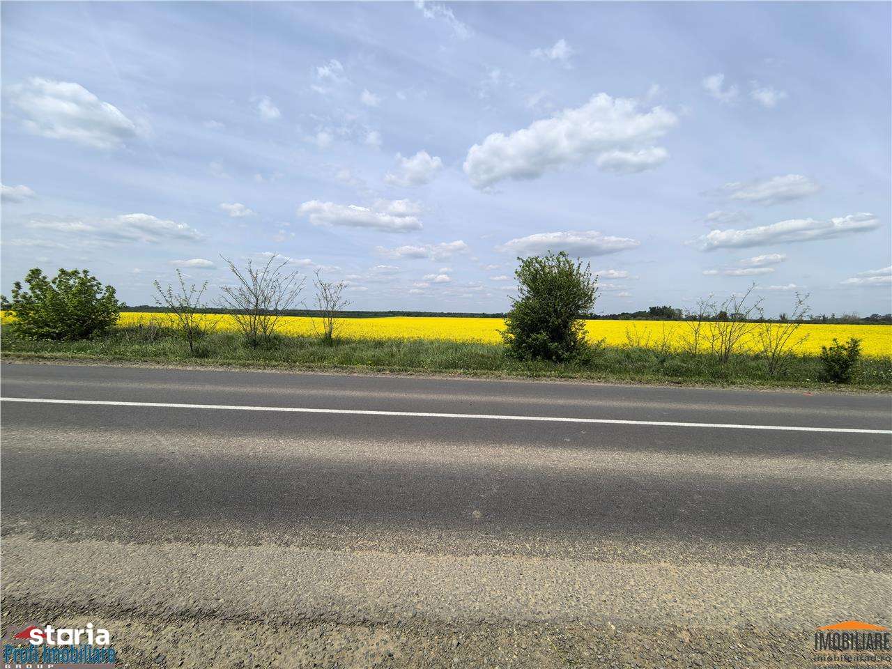 Teren 7 HA cu FS de 143 ml la DJ682 langa zona industriala Zadareni - Imagine principală: 4/5