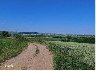 Teren extravilan Bosanci, ID: R2649420 - Imagine principală: 5/8