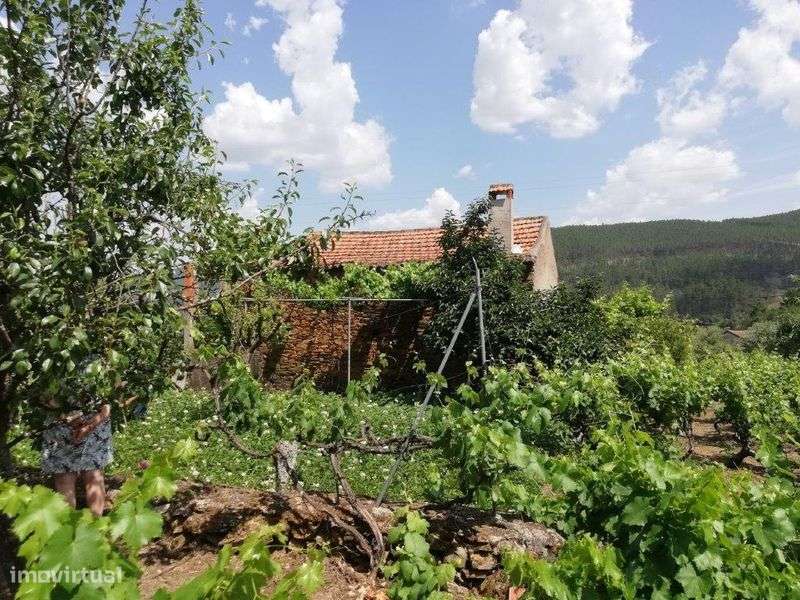 Quinta na Serra da Estrela - Grande imagem: 4/12
