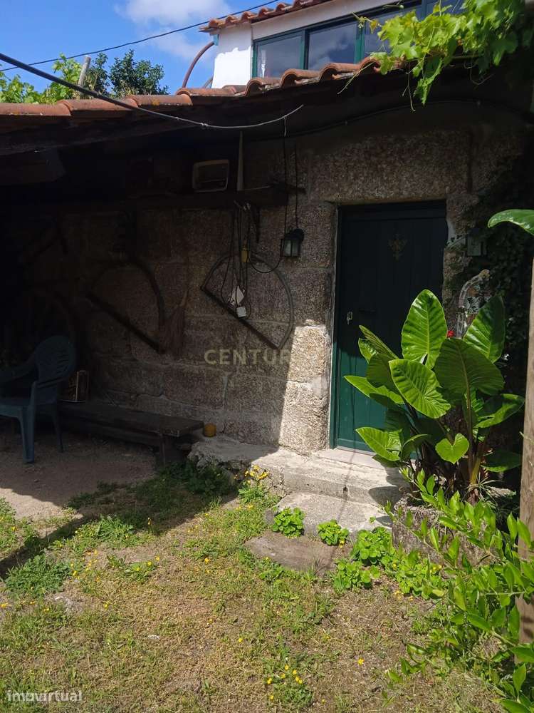 Quintinha - São Tomé de Covelas, Baião-42