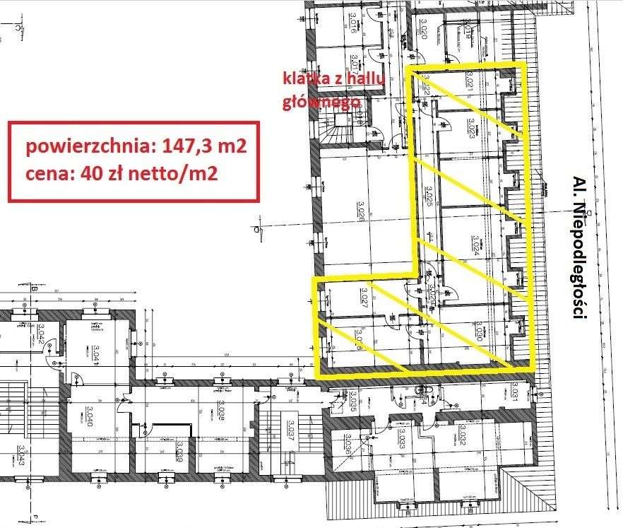 Lokal biurowo-usługowy w centrum Poznania - Pełny obrazek: 3/7