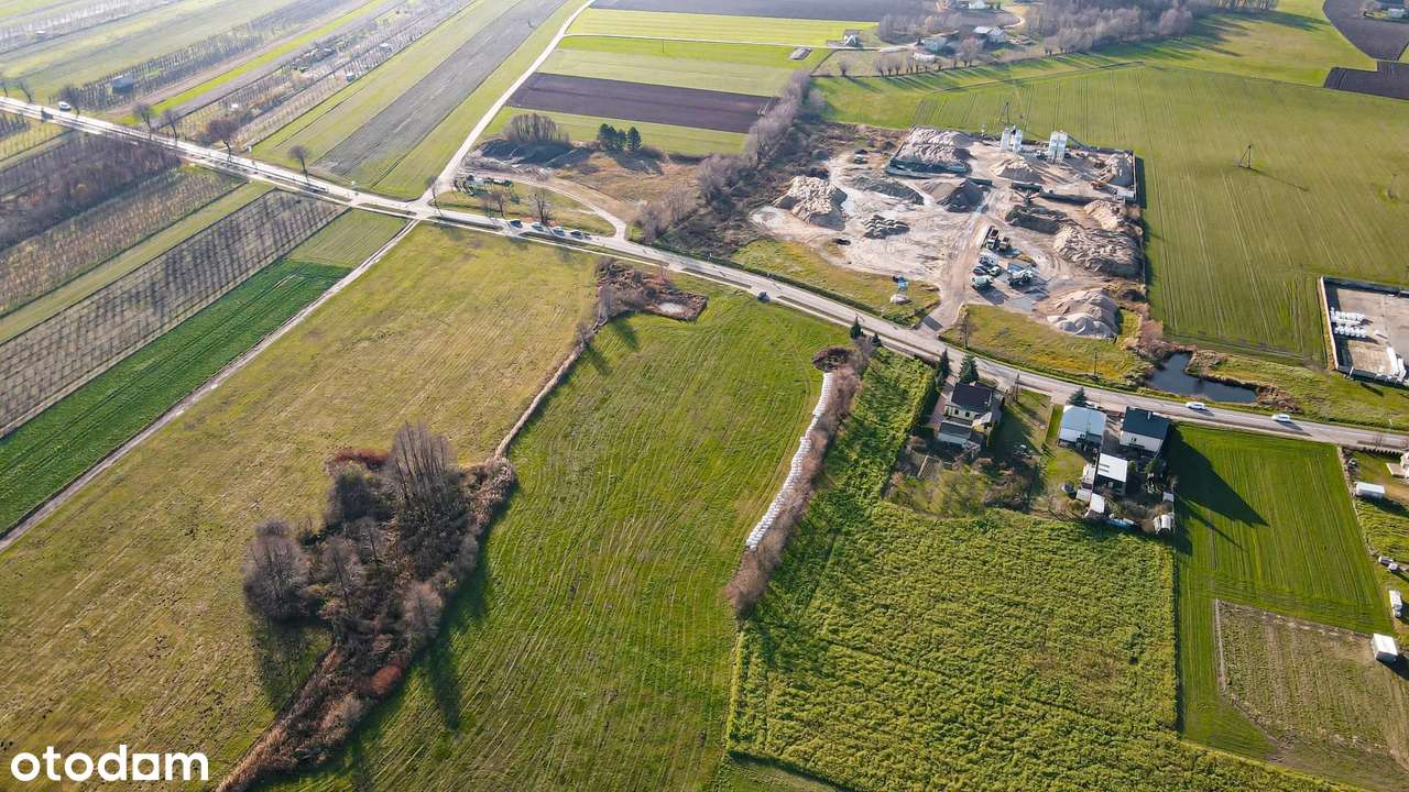 Działka dla inwestora w Borzykowie koło Wrześni-3